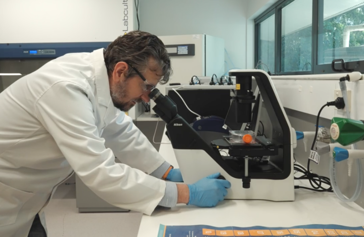 Professor Frederic Leusch examines organisms under microscope