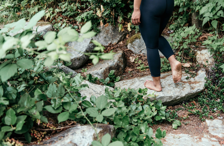 IP1 Nature Connections stock pexels