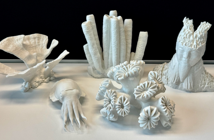3D printed Sculptures from the Sirens Collective 