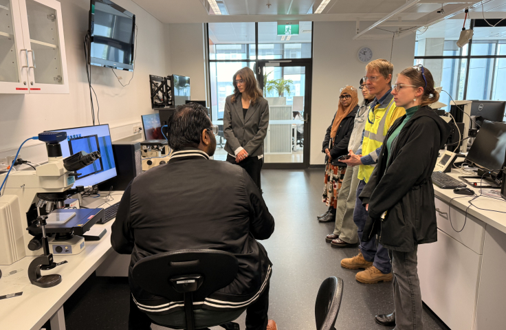 Local council and AUSMAP visit UNSW microplastics analysis lab