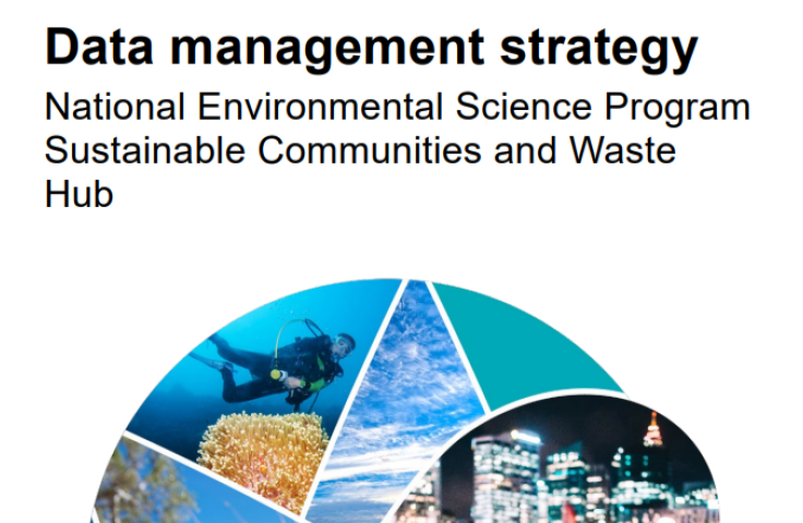 Data management strategy cover
