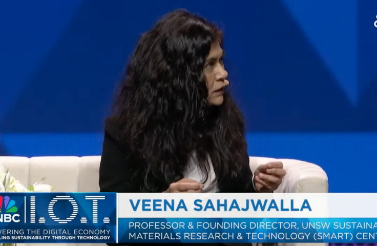 Veena CNBC panel