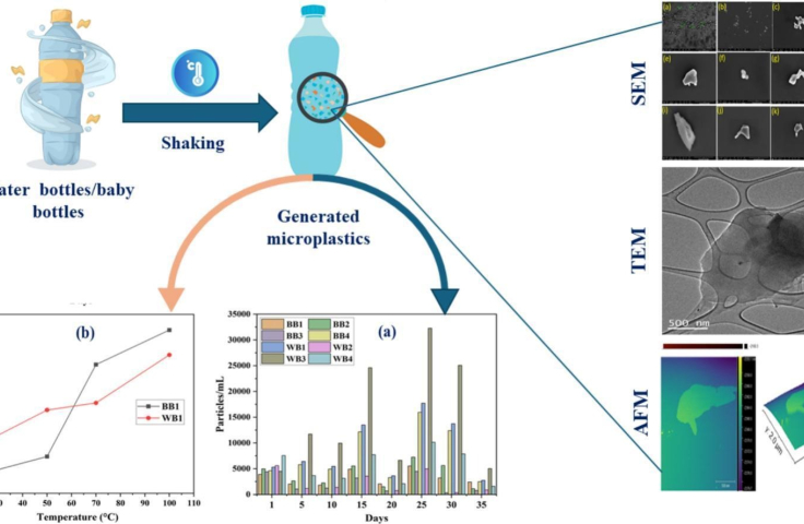 Understanding microplastics study graphic