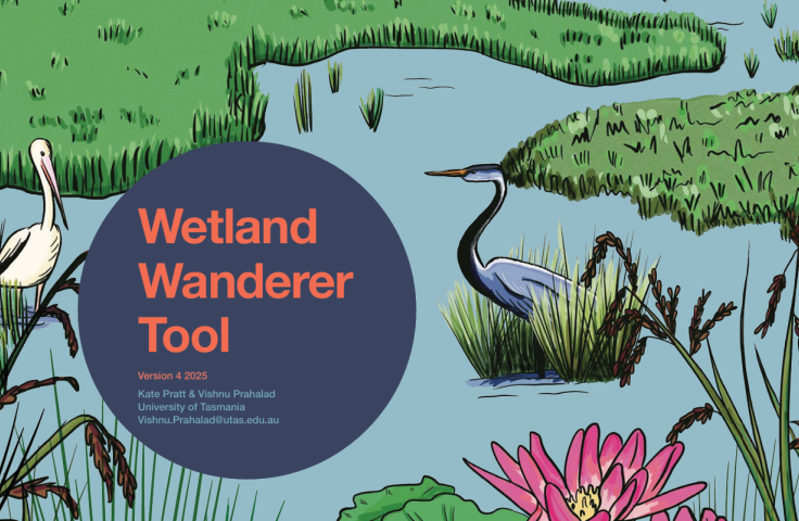 Wetland wanderer tool screenshot