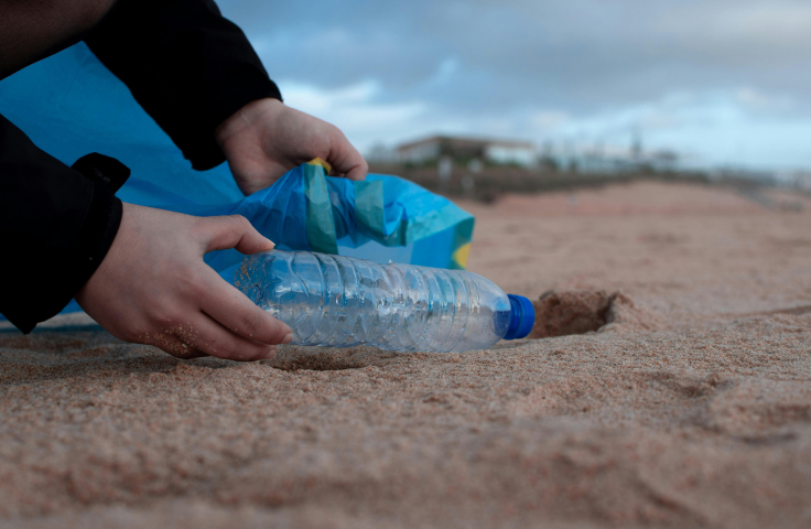 Beach plastic clean up